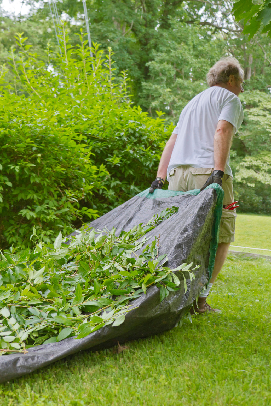 Man Doing Yardwork